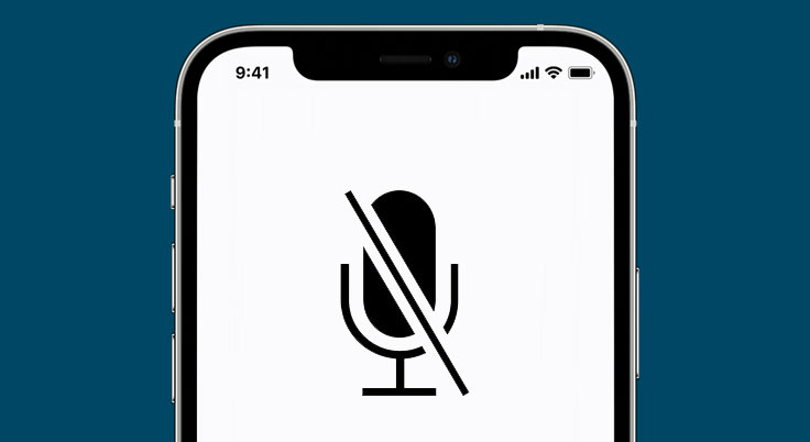 iphone 13 microphone not working